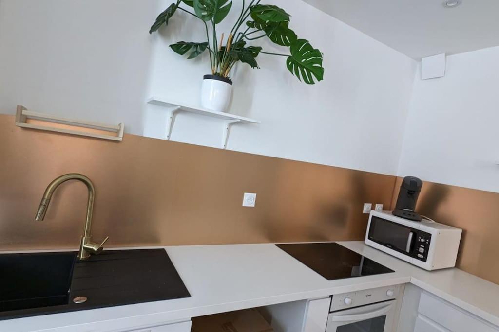 Cosy Queen -3Ch- Centre Ville & Parking Privee - Wifi Haut Debit Pau Exterior foto